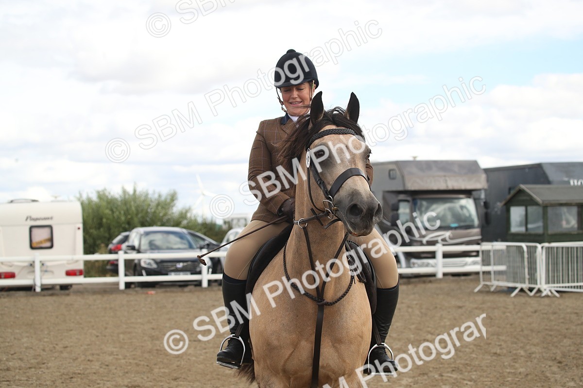 SBM_14568 - Class 505a - M&M Working Veteran - 50cm (15-19)