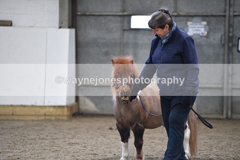 WJ5_5124 - Class 7 In hand coloured / odd coloured