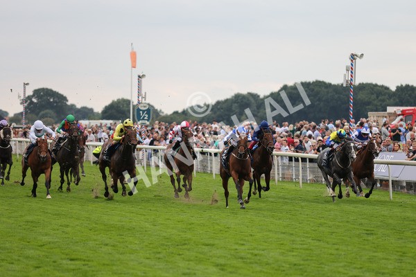 yr20082021r4-93 - Race 4 3.35pm Coolmore Wootton Bassett Nunthorpe Stakes (British Champions Series Race)