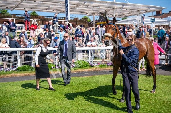 140525-Race 2-Rousing Encore-4798 - Race 2 2.42pm Churchill Tyres Handicap