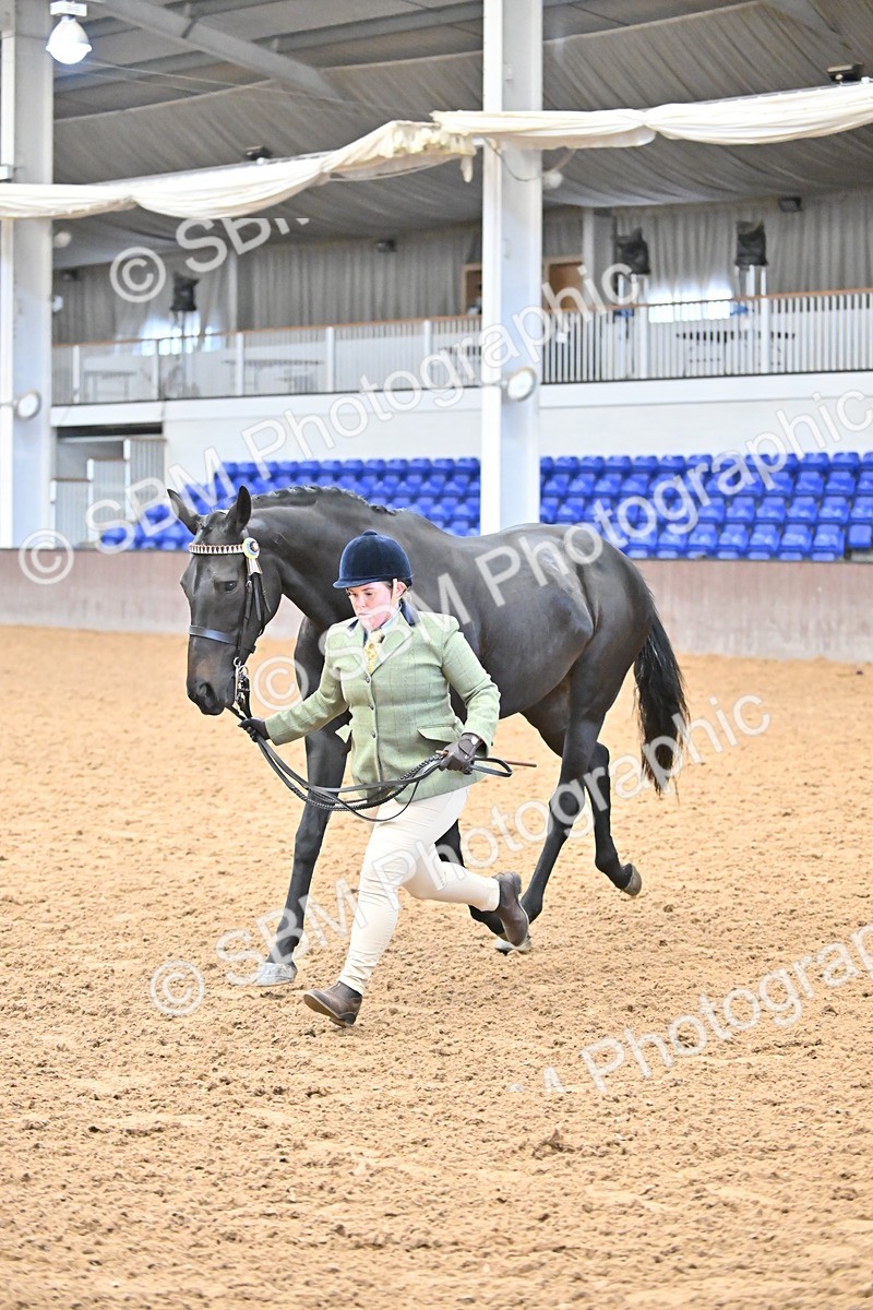 SBM_000243 - Class 7 - ROR Tattersalls In Hand