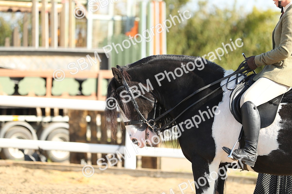 SBM_01166 - Class 42 Ridden Veteran