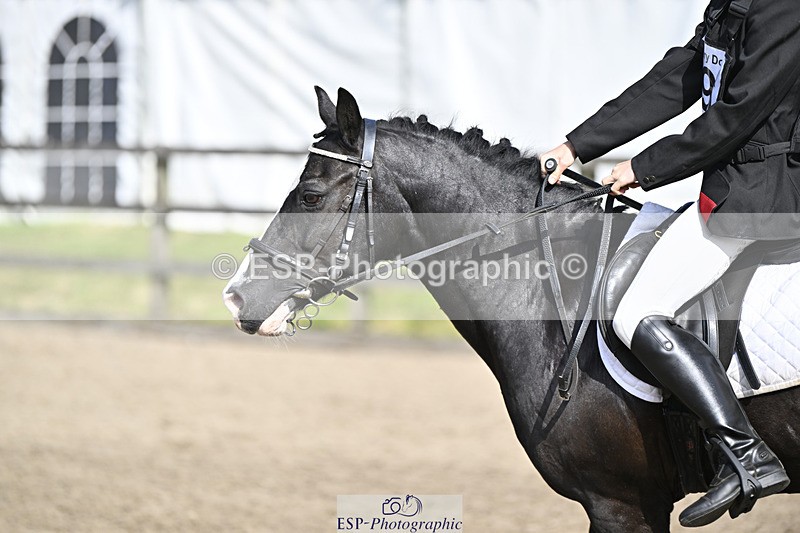 240823X-102519-15167 - 60cm R2 9.30 to 11.00