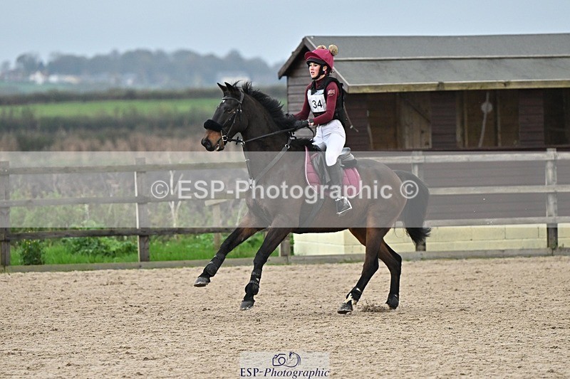 241110-155546-01344 - 80-85cm Arena Eventing