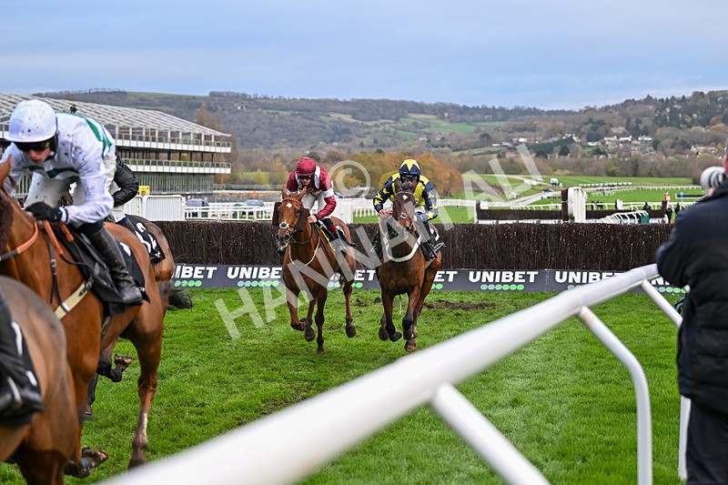 171124-Race 4-Surrey Quest-3580 - Race 4