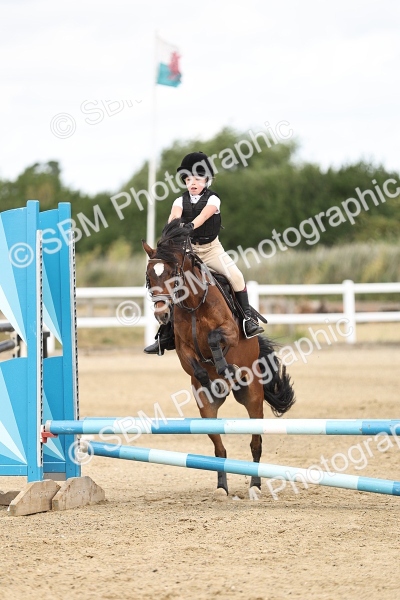SBM_004120 - 60cm showjumping