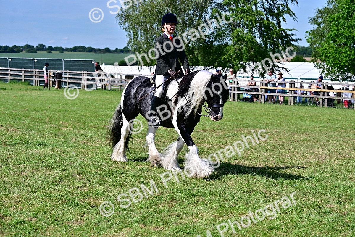 SBM_09342 - Class 63-65 - Traditional Gypsy Cobs In Hand & Ridden