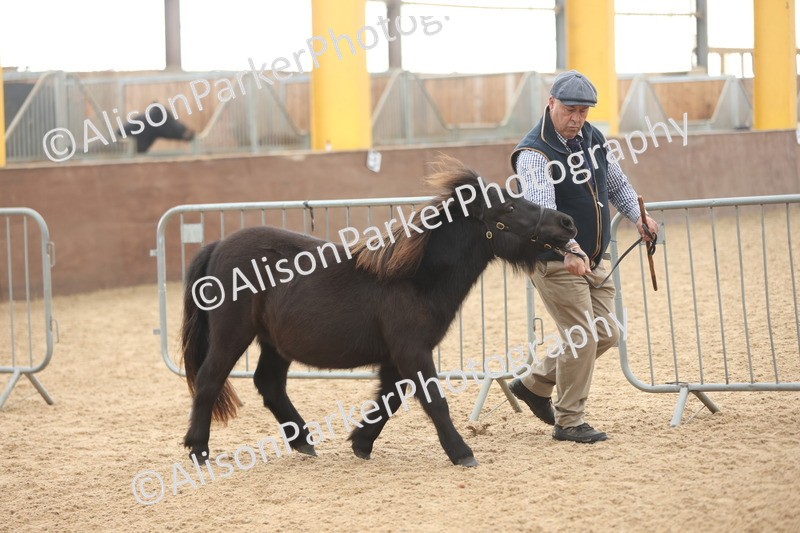 20251109-0119 - Championship