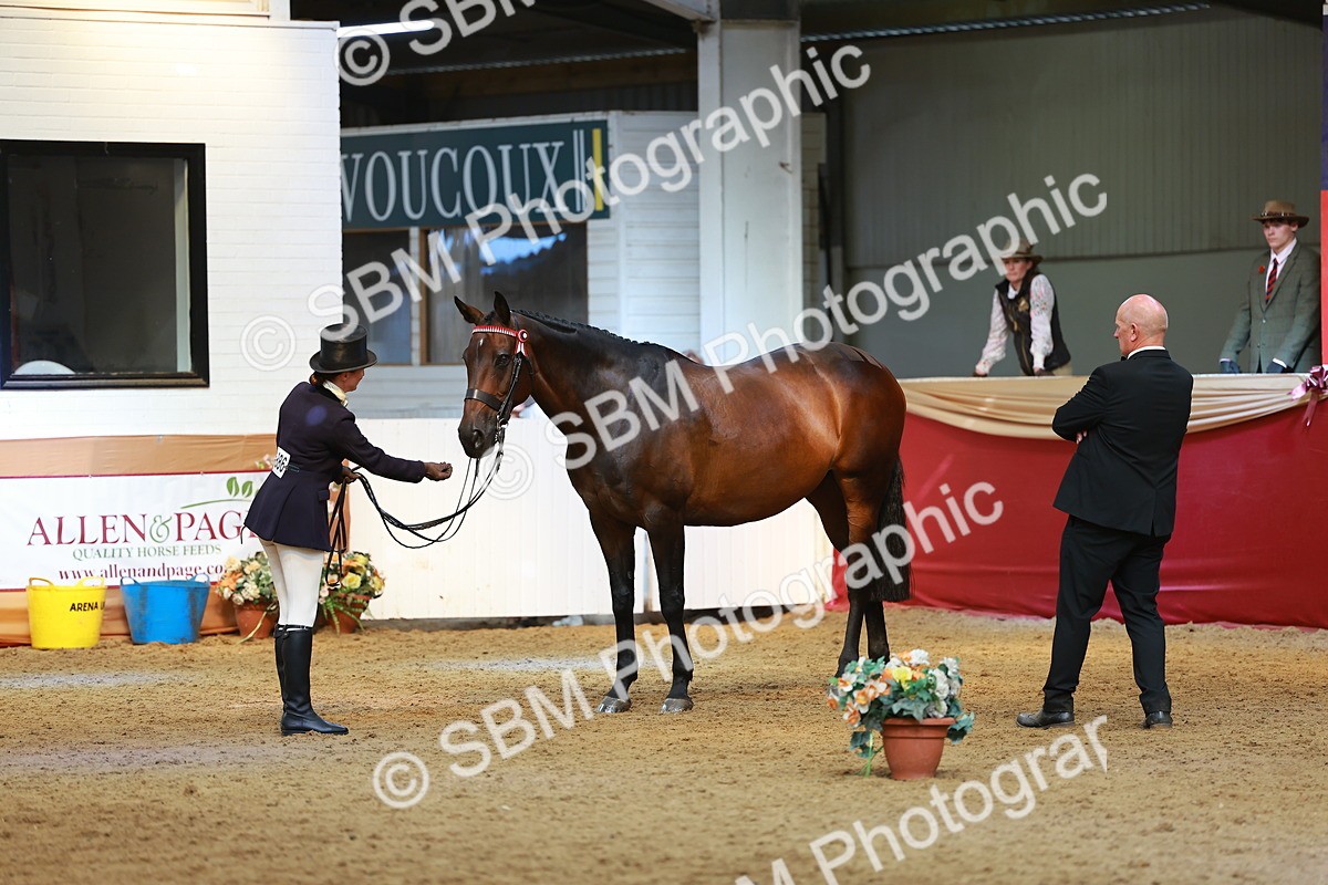 SBM_20278 - Class 906 - Sup Final Ridden Champ
