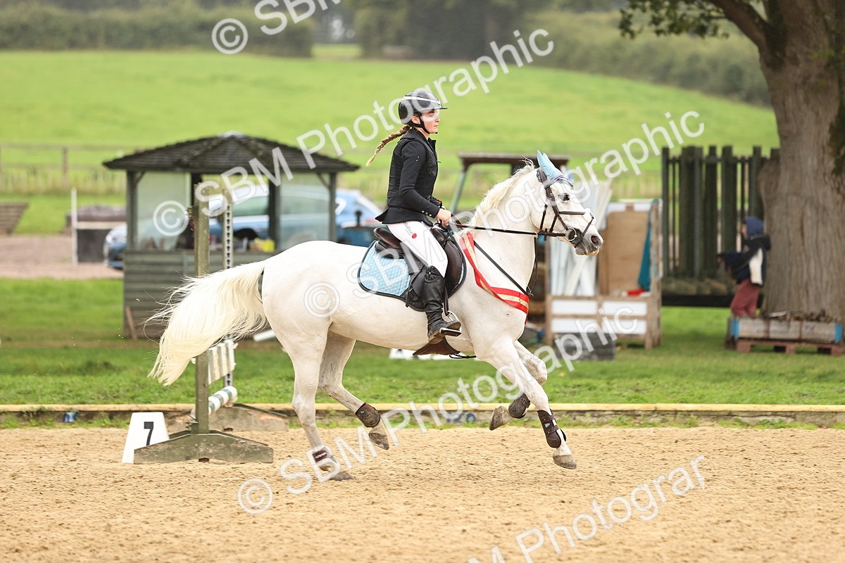 SBM_70103 - Supreme Championship 80cm 85cm