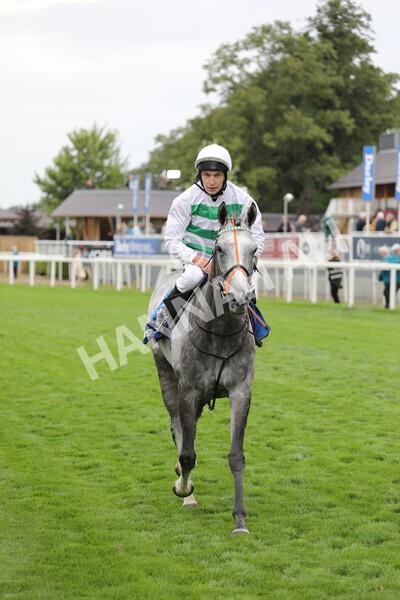 yr18082022r4-47 - Race 4 3.35pm Darley Yorkshire Oaks (British Champions Series Race)