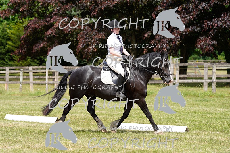 _DSC1277 - CLASS 4 NOVICE 1