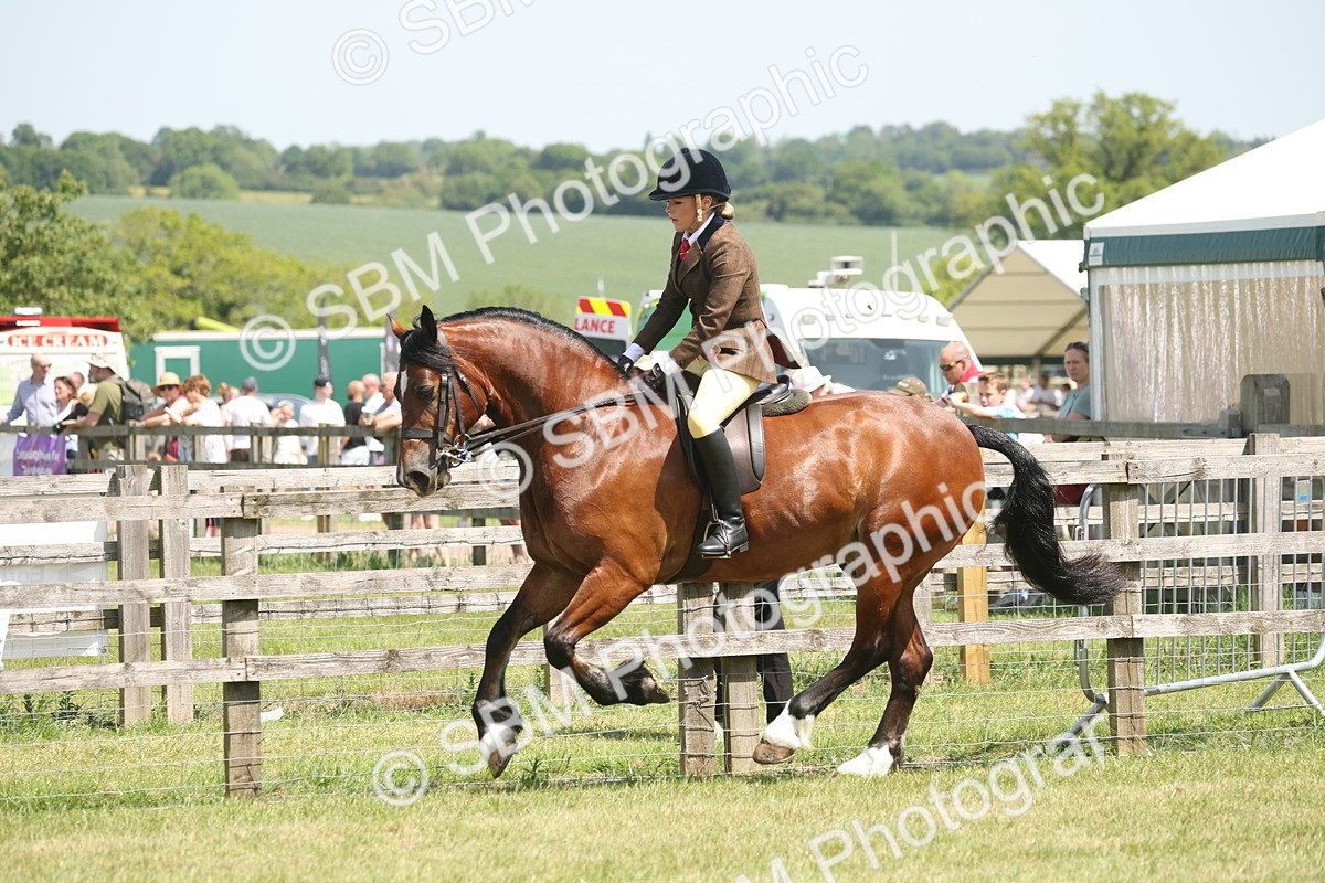 SBM_06952 - Class 26-30 - Mountain and Moorland Ridden