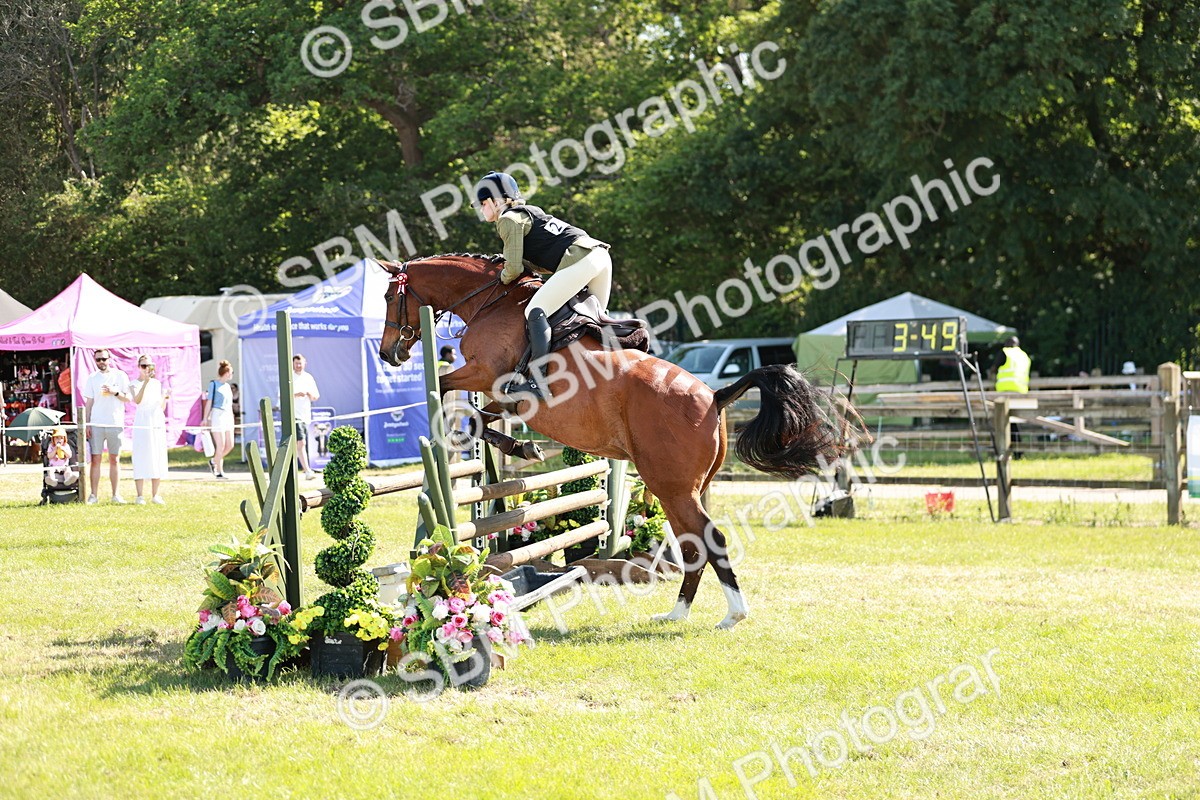 SBM_18814 - Class 114 - RIHS & SEIB Open Working Show Horse