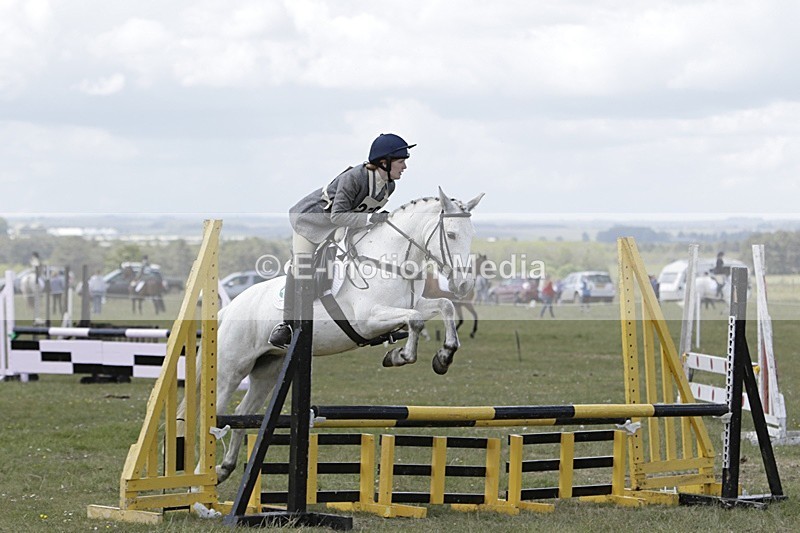 BVHT 140517 N-312 - Class 2 SJ Novice 14/05/17