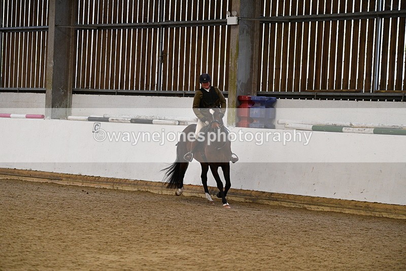 WJ5_7714 - Class 13 Ridden Part Breed