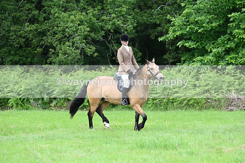 WJ7_2566 - Class 12A Coloured Class