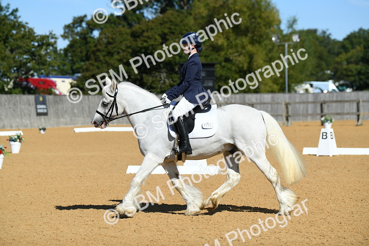 SBM_18113 - D4 - Small Tour Championship - Intro B