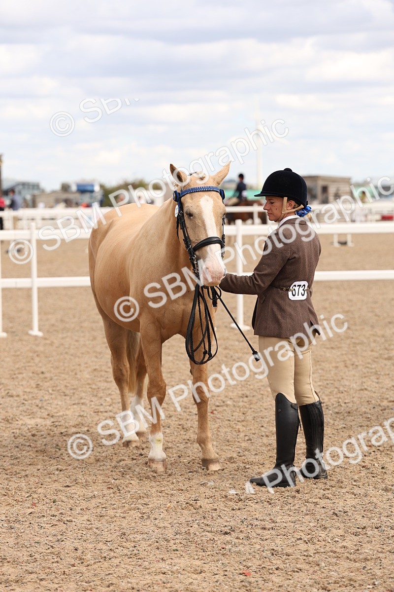 SBM_14684 - Class 208 - IH Veteran Horse
