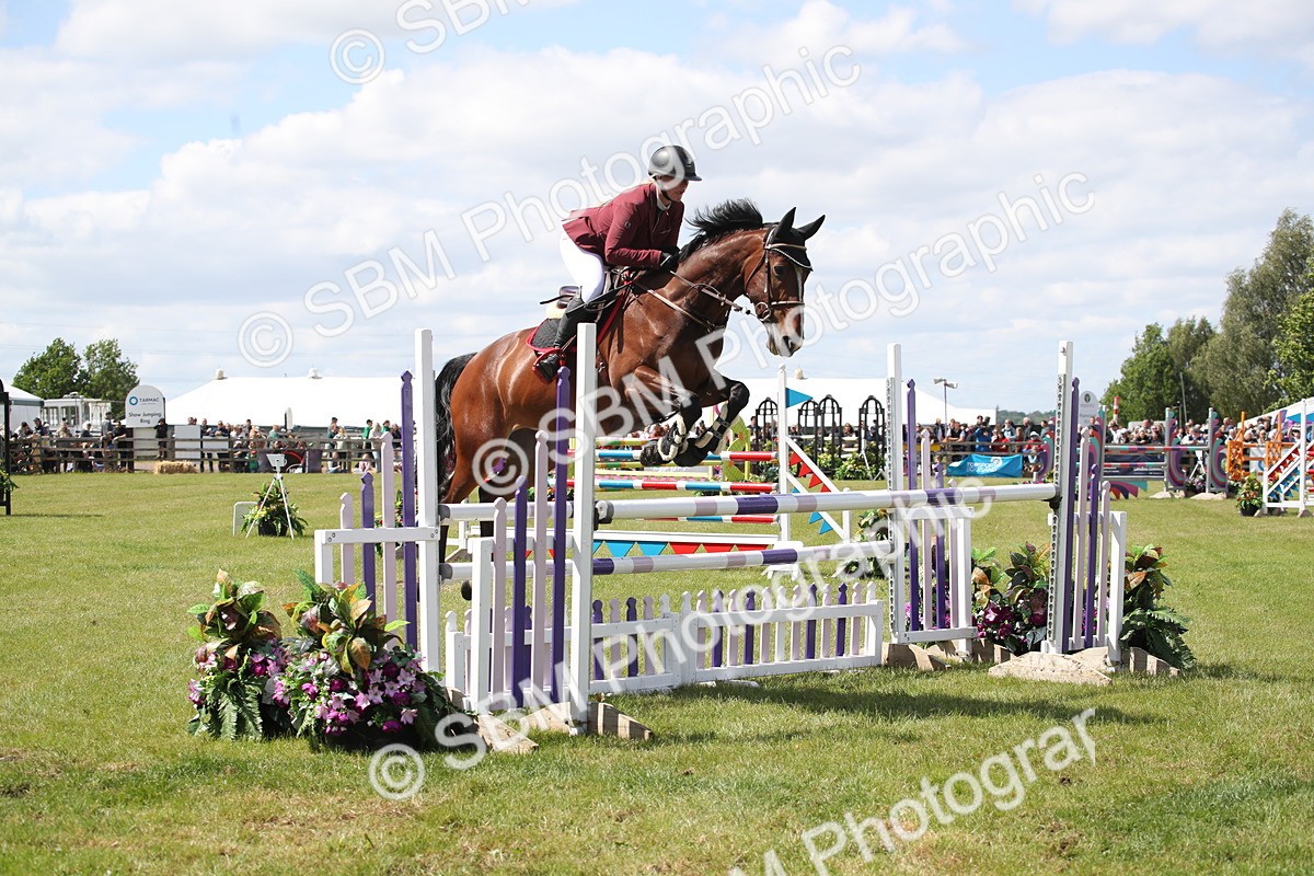 SBM_17389 - Class 208 - Senior Foxhunter 1.20m Open