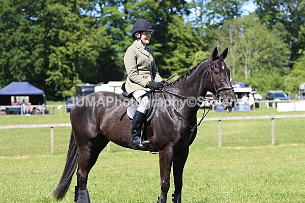 IMG_4148 - Working Hunter