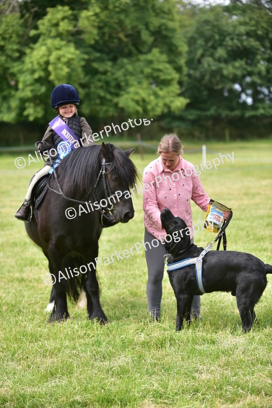 20260614-4560 - Class 19 - Cutest Pony, Rider and Dog Combination