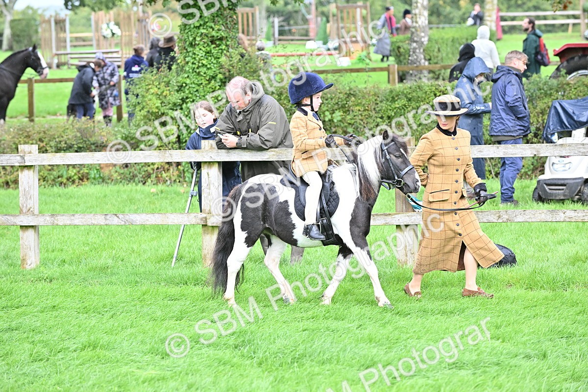 SBM_40128 - S20 - Lead Rein Mountain & Moorland Pony