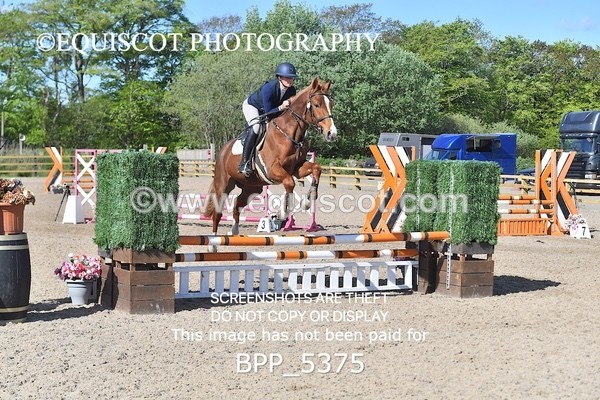 BPP_5375 - CLASS 22 SUN Club/ Unaffiliated 80cms Open