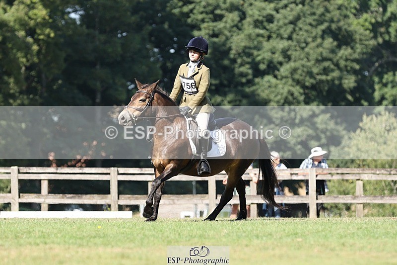 250823A-103305-27728 - Arena D