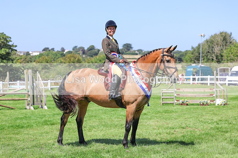 3E7A9289 - Working Hunter Championship