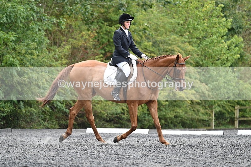 WJ7_7226 - Time 12:53 to 13:18