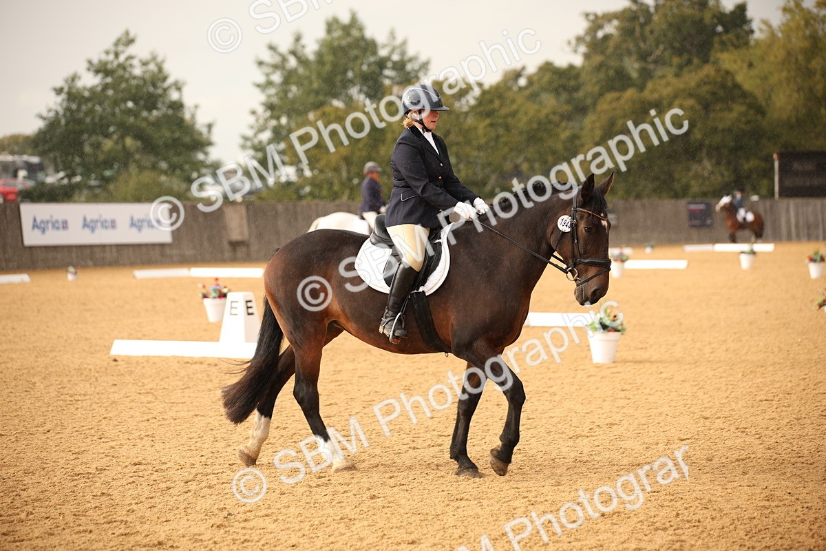 SBM_12347 - D3 Small  Tour Championship Intro A