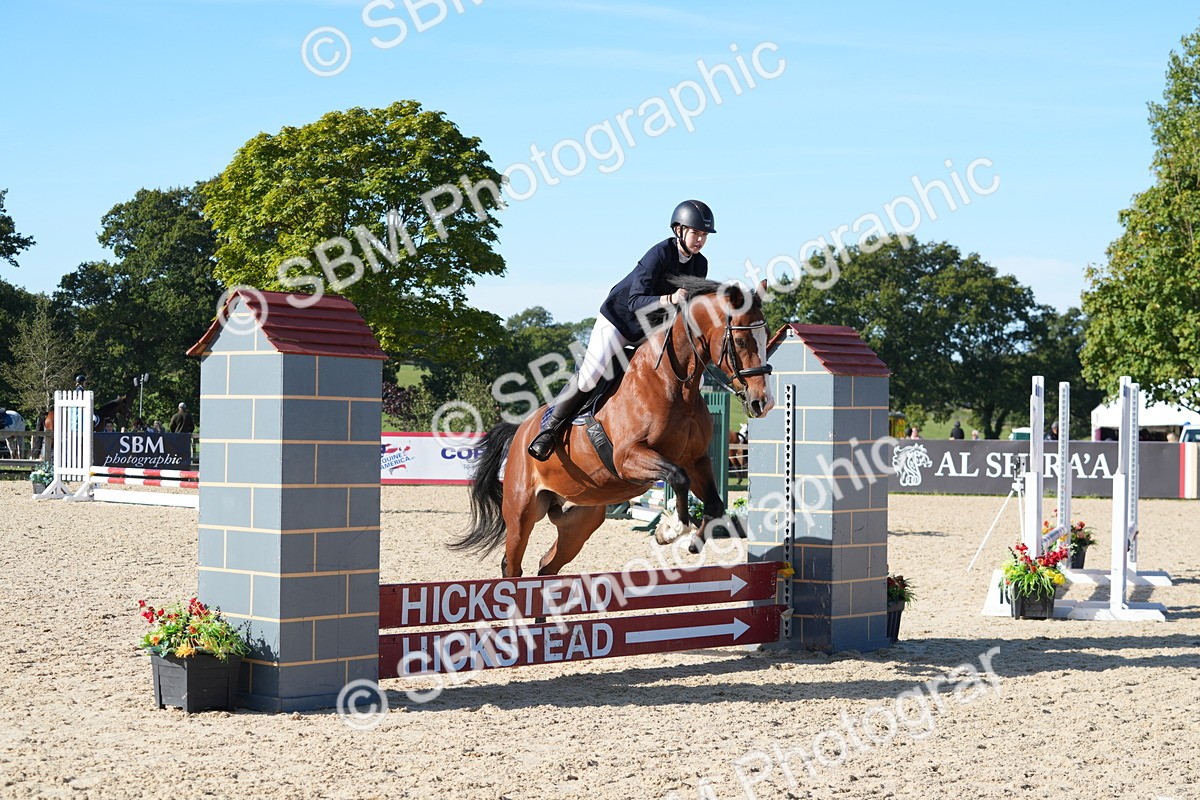 SBM_36150 - J 20 - Junior Horse 50cm Championship