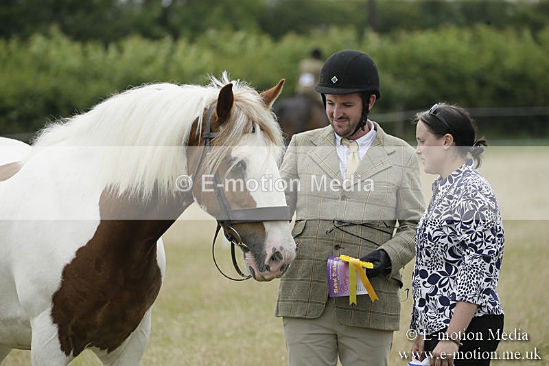 B230619-0703 - Bourne Valley Riding Club Summer Show 23/06/19