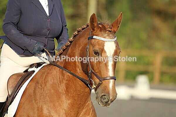 SIAL2443 - Saturday 16th 230pm till finish