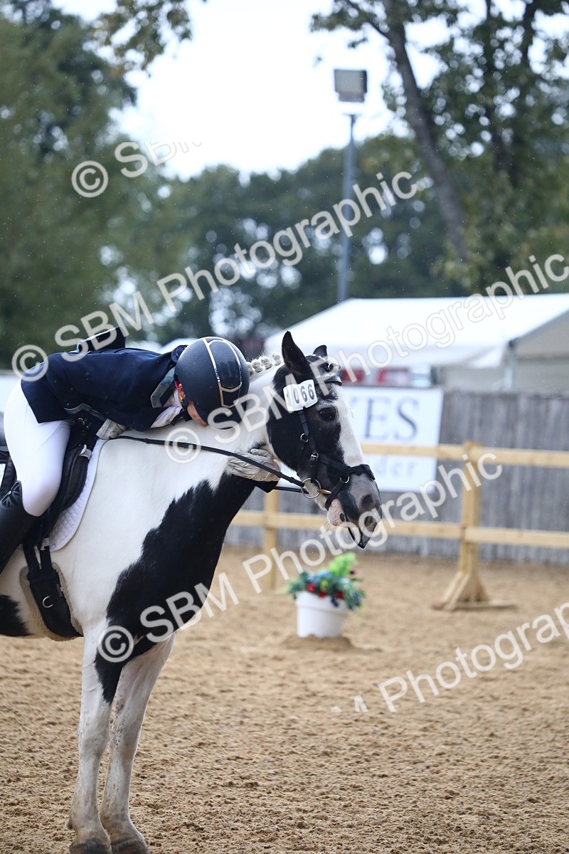 SBM_42803 - D21 - Junior Championship Intro 1