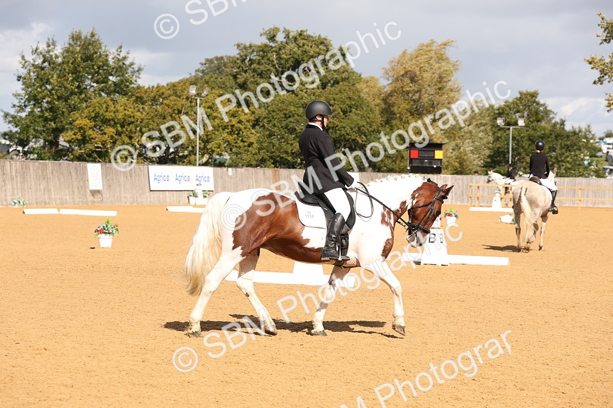 SBM_02302 - D10 - Small Tour Championship Prelim 2