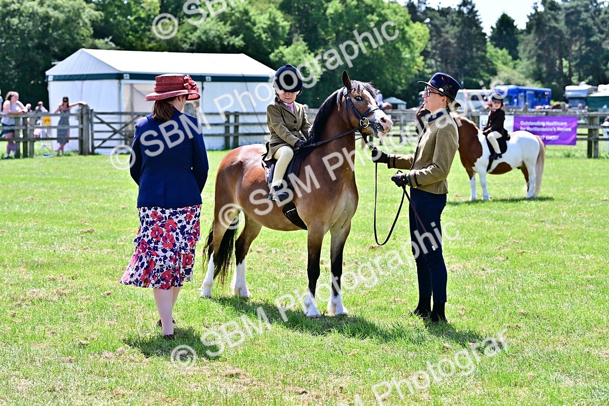 SBM_05819 - Class 59-60 - TSR M&M  Lear Rein and First Ridden Amateur of the year