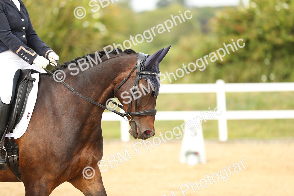 SBM_018477 - Class 14 - Novice 23 - 15.16-16.19