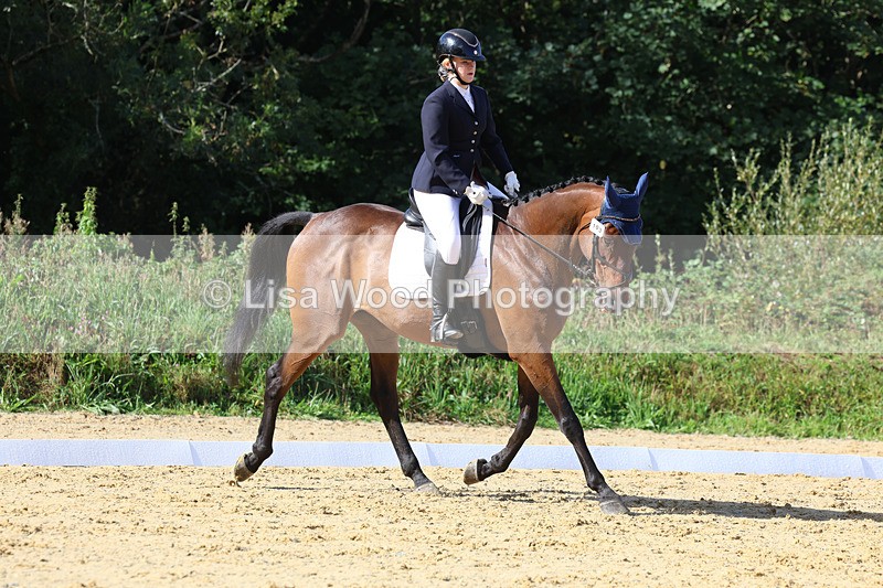 3E7A2567 - Class 1: Intro 4 2024 section A