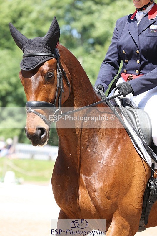 230526-122114-06205 - 160-SWHISKEY-Jeanette_Brakewell-WEDTrotUp+DR