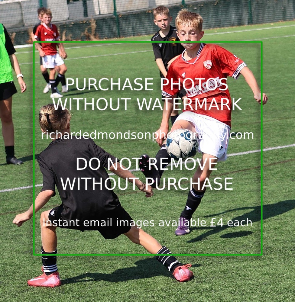 533A3690 - MorecacadU12