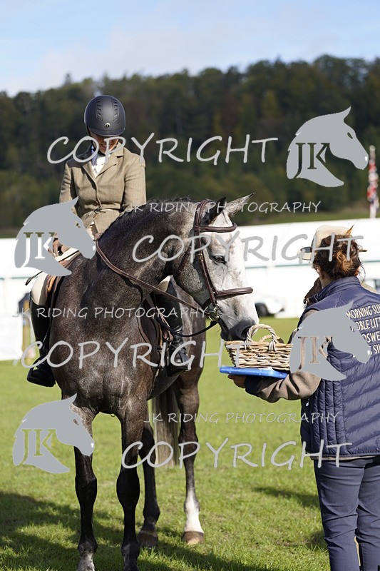 _DSC9586 - Class 8 & 17 Ridden Hunter & Ridden Hunter Pony