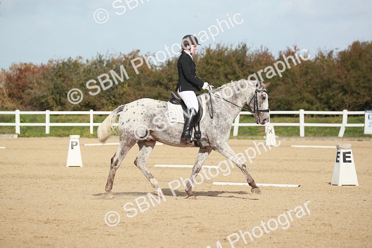 SBM_001701 - Class 4 - Novice 5