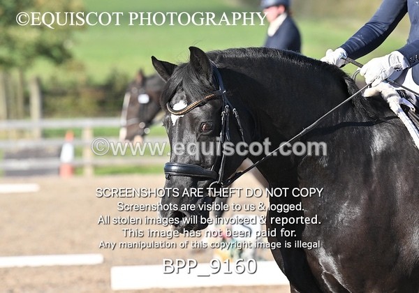 BPP_9160 - LONG ARENA
