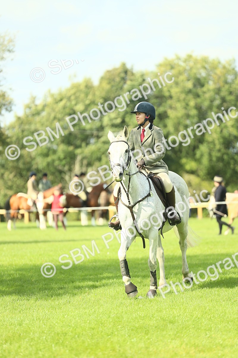 SBM_47924 - S32 - Novice & Newcomers Working Hunter