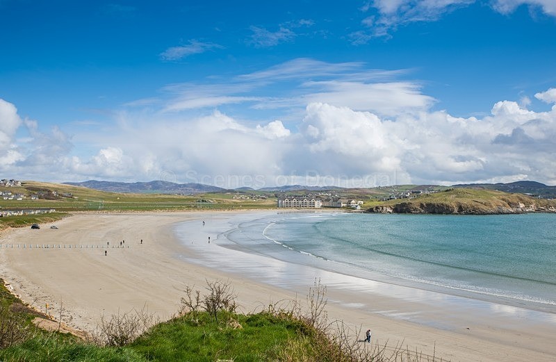 DSC_3628 - Downings & Beaches