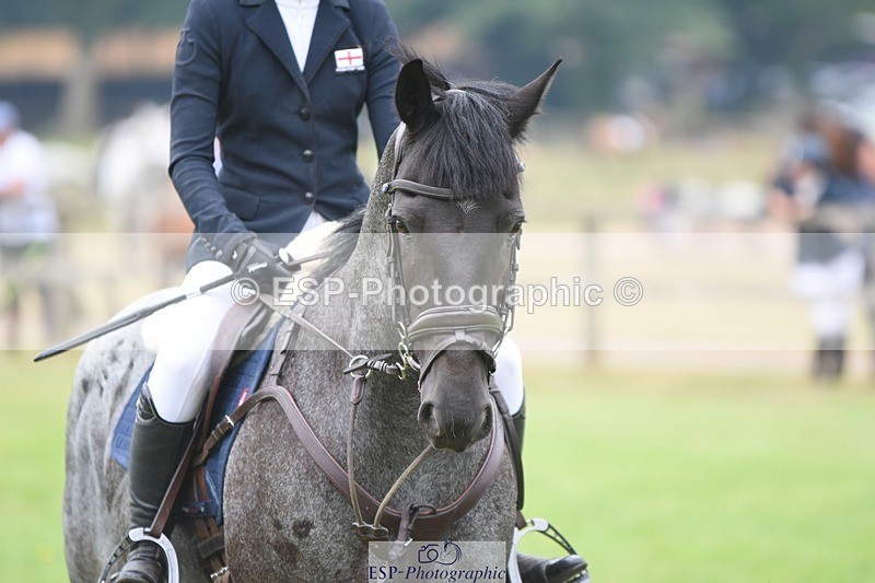 230618-101240-10307 - Cls 28 British Novice & 80cm Open