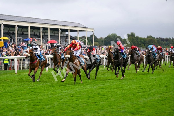 080924-Race 6-Northern Spirit-9459 - Race 6 4.35pm Hanson Springs Handicap