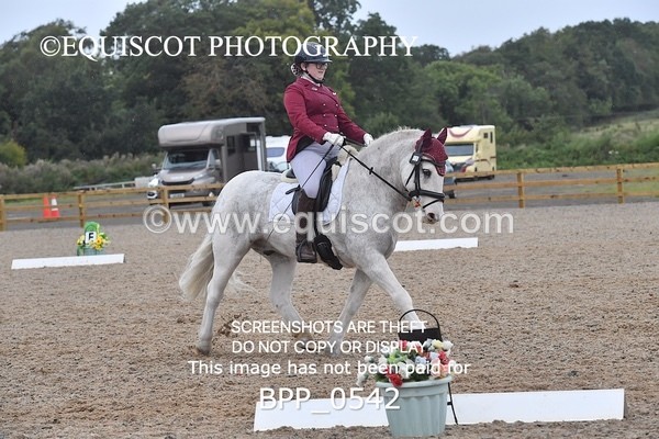 BPP_0542 - MFS PRELIM & NOV